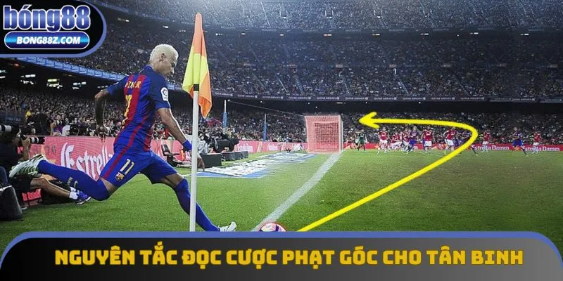 Nguyên tắc đọc cược phạt góc cho tân binh